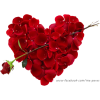 Rose-Leaves-Heart-psd62663.png