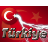 turkiyesimsek9zt7xh52qr.jpg
